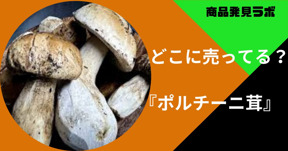 ポルチーニ茸はどこで買える？カルディや成城石井など取扱のある販売店まとめ | 商品発見ラボ