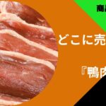 鴨肉