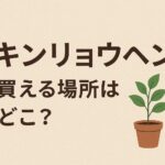 キンリョウヘン最新 (1)