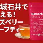 成城石井-ラズベリーリフティー