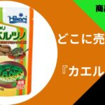 カエルの餌どこに売ってる (1)